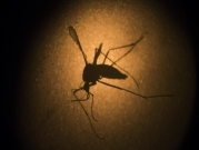إصابة حرجة سابعة بـ"حمى غرب النيل" ومخاوف من انتشار الفيروس