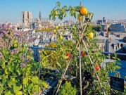 "الزراعة الحضرية": سقوف أبنية خضراء في باريس