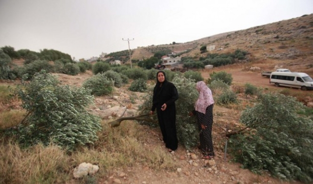  الاحتلال يجرف عشرات الدونمات ويقتلع مئات الأشجار بالضفة