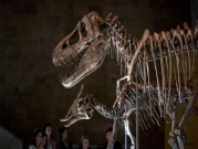 دراسةٌ جديدة تُغيِّر تصوُّر العلماء لبيض بعض الديناصورات