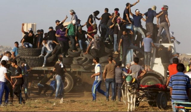 238 مصابا برصاص الاحتلال في قطاع غزة