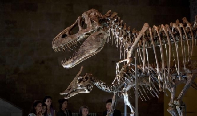 دراسةٌ جديدة تُغيِّر تصوُّر العلماء لبيض بعض الديناصورات