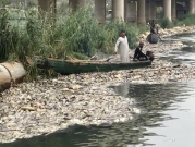 العراق: فحوصات لمياه الفرات تُثبت أن التلوث سبب نفوق الأسماك