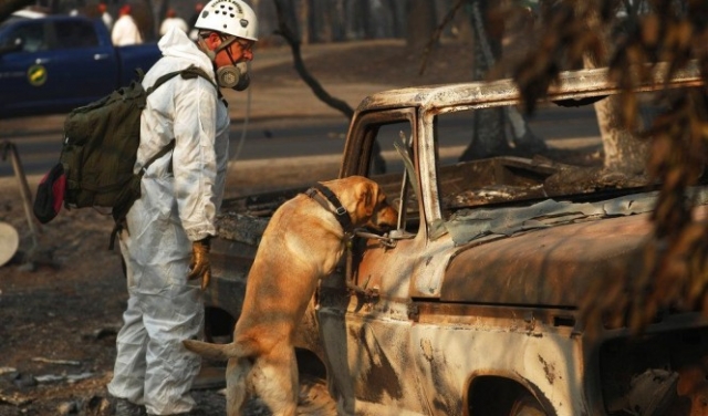 أميركا: البحث عن مفقودي حريق كاليفورنيا