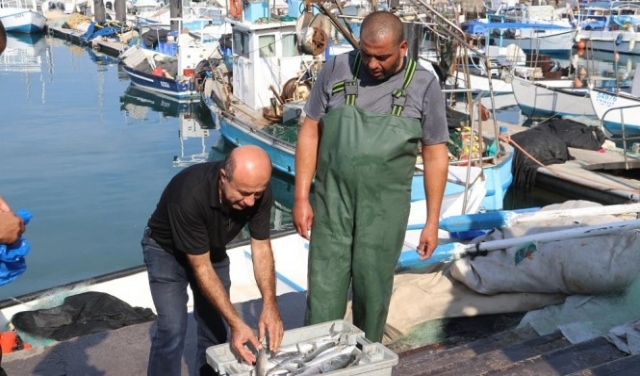 ميناء يافا وصيادو الأسماك العرب: معركة على الهوية