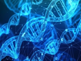 علماء يعارضون تجربة في التعديل الجيني على البشر