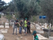 يافا: معسكر عمل لصيانة مقبرة طاسو السبت