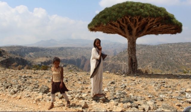 سقطرى: مطامع الإمارات بالجزيرة اليمنية