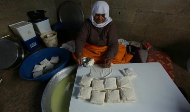 مُسنة فلسطينية من جنين تصنع الجبن 