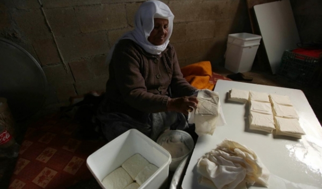 المُسنة الفلسطينية حياة الكيلاني من جنين تصنع الجبن