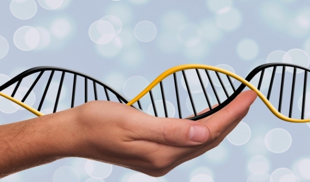 علماء يطالبون بوقف التعديل الوراثي للأجنّة البشرية