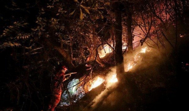 الصين: مصرع 24 رجل إطفاء إثر حريق في غابة
