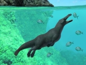 دراسة: حفريات لحيتان "برمائية" بأربع أرجل 
