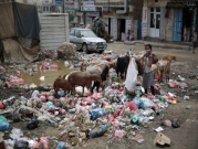 عدم توزيع لقاح مرض الكوليرا في اليمن ساهم في تحوله الى وباء