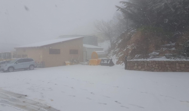 فيديو وصور: الثلوج تتساقط على جبل الشيخ في عز الربيع