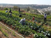 مشروع نجاحها لتمكين الرياديات الفلسطينيات في القطاع الزراعي