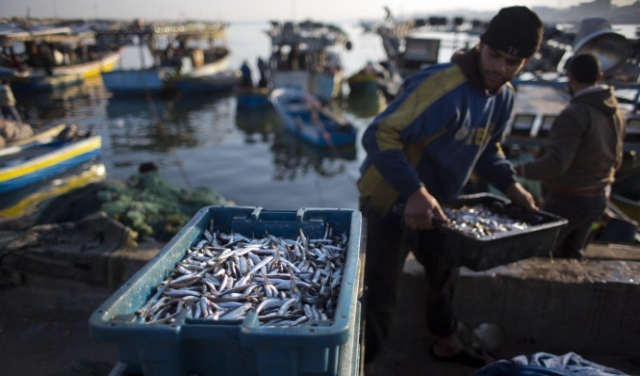 الاحتلال يقلص مساحة الصيد قبالة غزة ويحولها لأداة عقاب جماعي