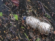 كندا تعتزم حظر المواد البلاستيكية المُستخدمة لمرة واحدة 