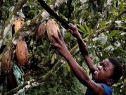 زيادة سعر الكاكاو يمكنها أن تنقذ أطفال غانا من الاستغلال!