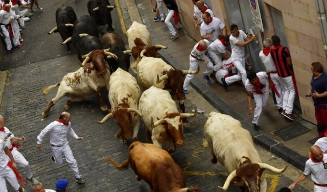 إسبانيا: إصابة 5 متسابقين في مهرجان للركض أمام الثيران  