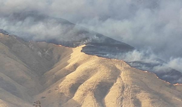 النيران تأتي على 10 آلاف دونم في محمية وادي العشة