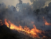 قمة إقليمية طارئة بشأن حرائق الأمازون