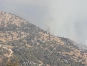 جنوبي لبنان: استهداف إسرائيلي يسفر عن اندلاع حرائق