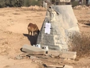 السلطات الإسرائيلية تخطر بهدم بيت كلب 