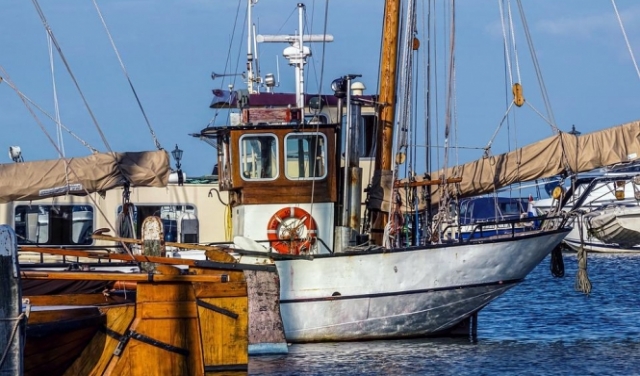 احتمال بريكست دون اتفاق يوتر قطاع صيد الأسماك بأوروبا