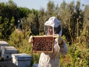 غزّة: الفلسطينية سمر البُع تواجه البطالة بتربية النحل