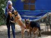 غزة: الحيوانات الأليفة... أصدقاء تحت الحصار  يفتقدون للعناية الطبية