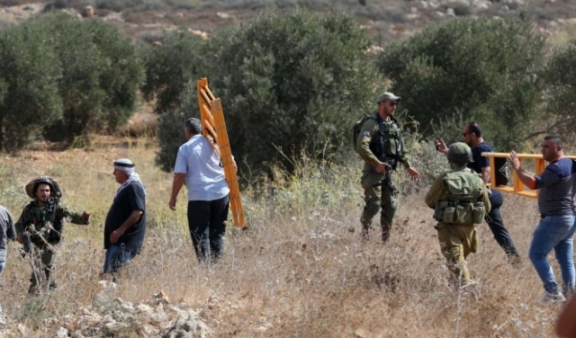 الضفة: المستوطنون وجنود الاحتلال يواصلون الاعتداء على قاطفي الزيتون 
