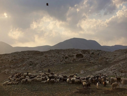 "كاحول لافان" تكرر تأييدها لفرض "سيادة" إسرائيل بالأغوار