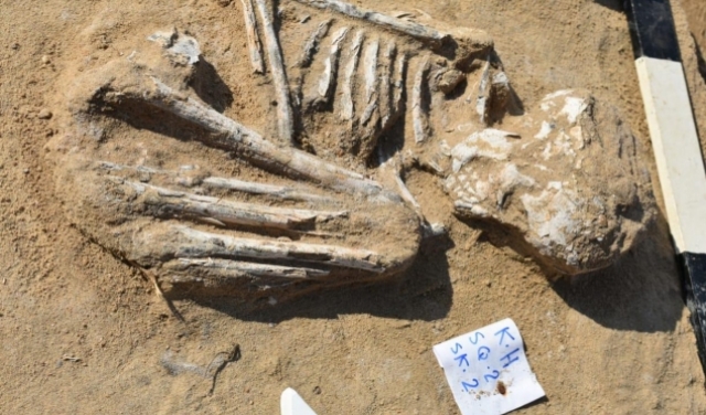 مصر: اكتشاف مقبرة جماعية أثرية في الاسماعيلية