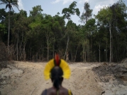 غابات الأمازون تشهد أكبر أزمة تصحر بعهد بولسونارو