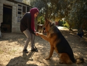 فلسطينيّة من غزّة تمتهن ترويض الكلاب