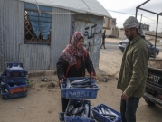 غزّة: أم جميل.. بائعة السمك والمرأة القوية