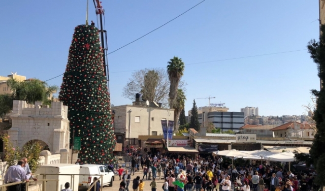 الناصرة تحتفل بنصب أكبر شجرة ميلاد