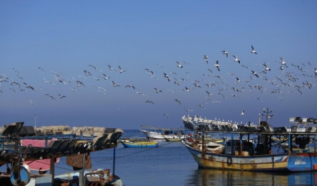 تحالف أسطول الحرية يبحر إلى غزة في صيف 2020