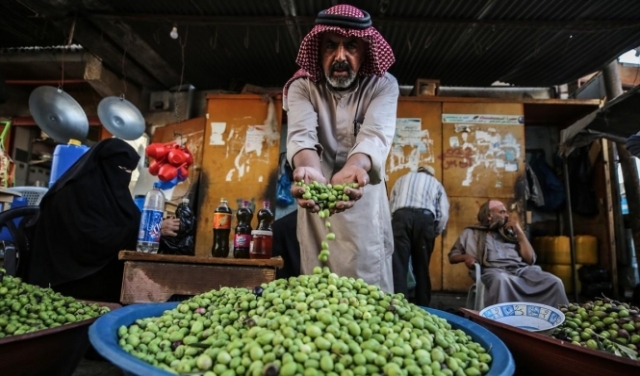 غزة: اكتفاء ذاتي من زيت الزيتون لأول مرة منذ أعوام