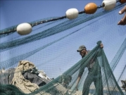 الصيادون: عدم شمل اللوكوس والتونا في قائمة الأسماك المحمية