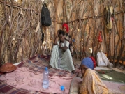 اليمن: انخفاض مستويات انعدام الأمن الغذائي