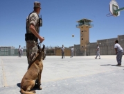 الولايات المتحدة توقف إرسال كلابها المدربة للسلطات المصرية والأردنية
