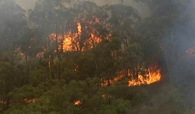 أستراليا: إجلاء عشرات الآلاف من المواطنين جراء حرائق 