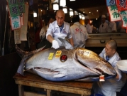 اليابان: بيع سمكة تونا بـ1.8 مليون دولار