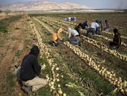 استطلاع: 35% من الإسرائيليين يؤيدون ضم غور الأردن قبل الانتخابات