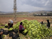 تقرير: وقف التبادل التجاري للمنتوجات الزراعية بين إسرائيل والفلسطينيين