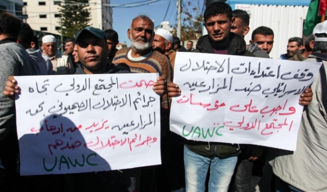 الرباعية الدولية تبحث قرار الاحتلال بمنع الصادرات الزراعية الفلسطينية