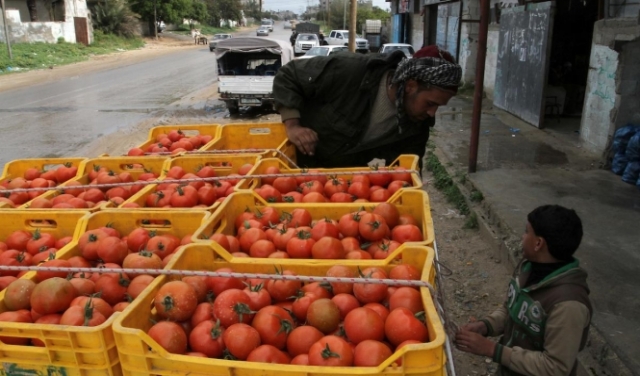 مفاوضات فلسطينية إسرائيلية لإنهاء قرار الاحتلال بحظر تصدير المنتجات الفلسطينية