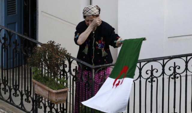 عامٌ على الثورة الجزائرية: الأزمة والحلول